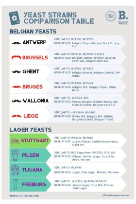 Yeast Brussels Belgian Style Liquid Yeast | Made in Melbourne by Bluestone Yeast Co.